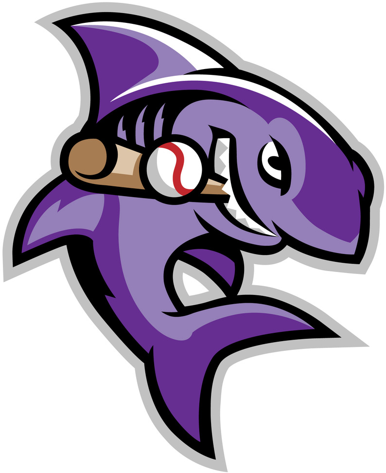 Marthas Vineyard Sharks 2012-Pres Mascot Logo iron on transfers for clothing